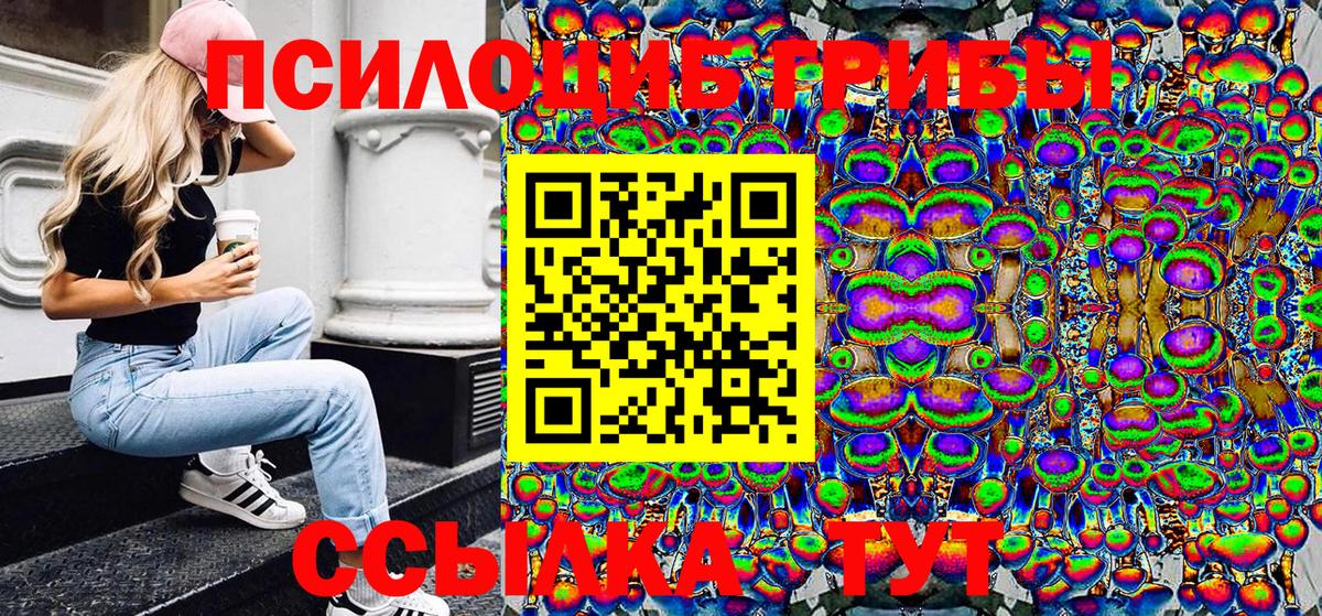 Псилоцибиновые грибы Cubensis Миасс