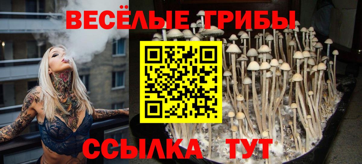 Псилоцибиновые грибы Magic Shrooms  Вход с VPN  Миасс 
